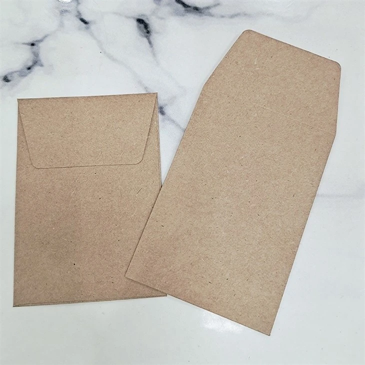transparent envelope bag